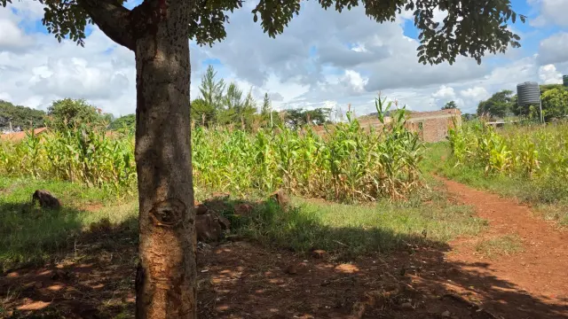 Residential Stand for Sale