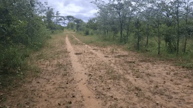 Commercial Stand for Sale