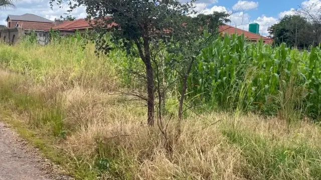 Residential Stand for Sale