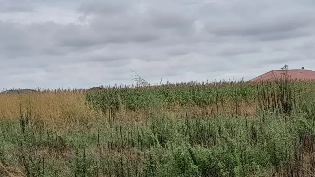 Residential Stand for Sale in Mbudzi