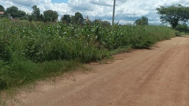 Stand for Sale in The Grange