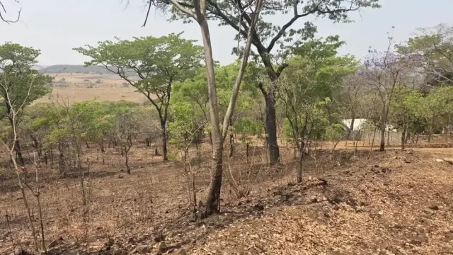 Residential Stand for Sale