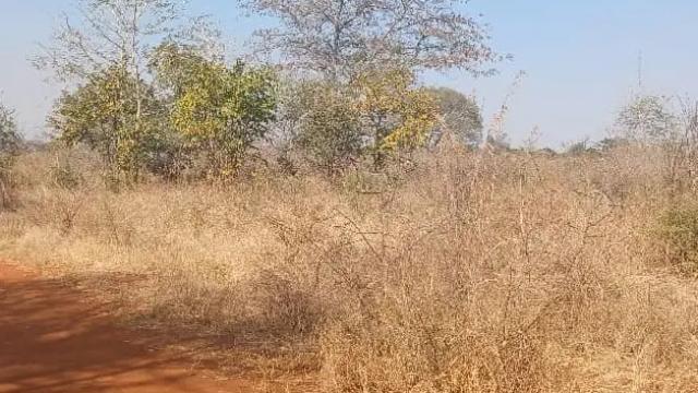 Stand for Sale in Norton