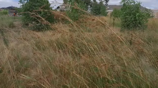 Residential Stand for Sale in Sandton Park