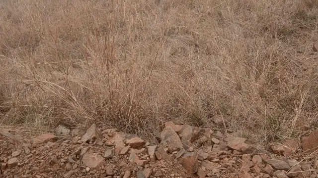 Residential Stand for Sale