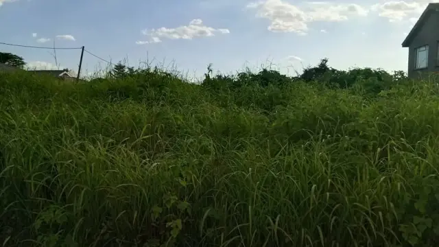 Residential Stand for Sale