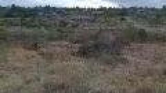 Stand for Sale in Burnside