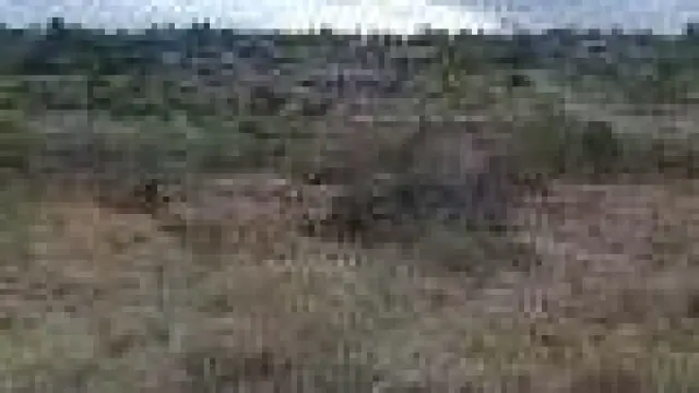 Residential Stand for Sale in Burnside