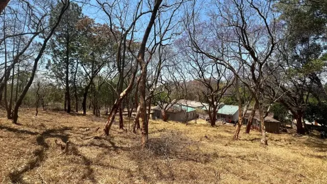 Residential Stand for Sale in Glen Lorne