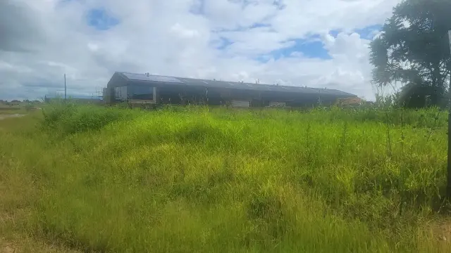 Commercial Stand for Sale