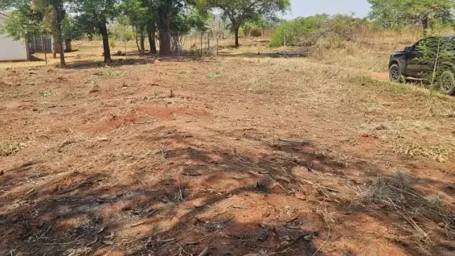 Residential Stand for Sale