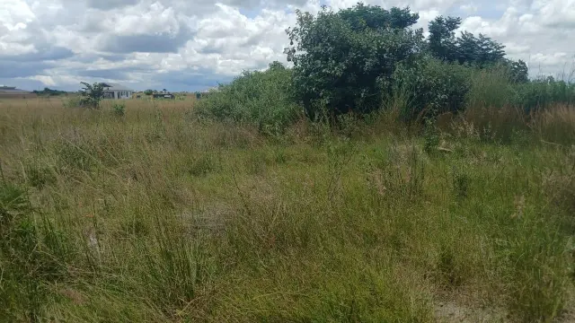 Residential Stand for Sale