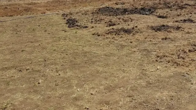 Residential Stand for Sale