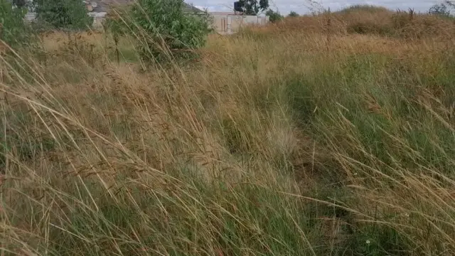 Residential Stand for Sale