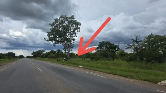 Commercial Stand for Sale