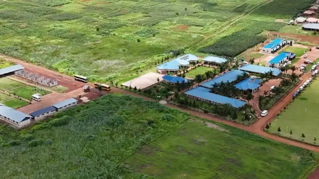 Residential Stand for Sale