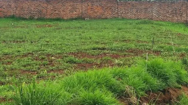 Residential Stand for Sale