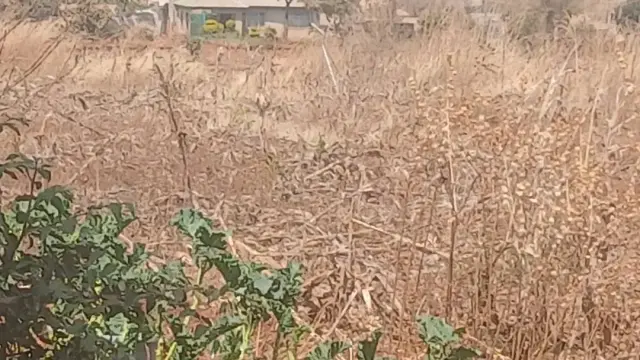 Residential Stand for Sale