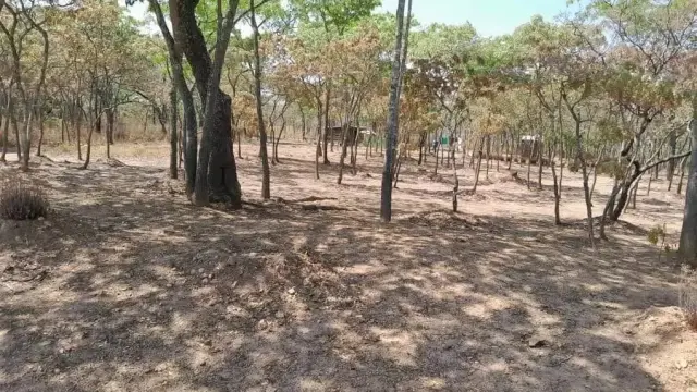 Residential Stand for Sale