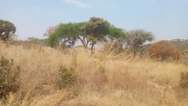 Residential Stand for Sale