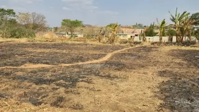 Residential Stand for Sale