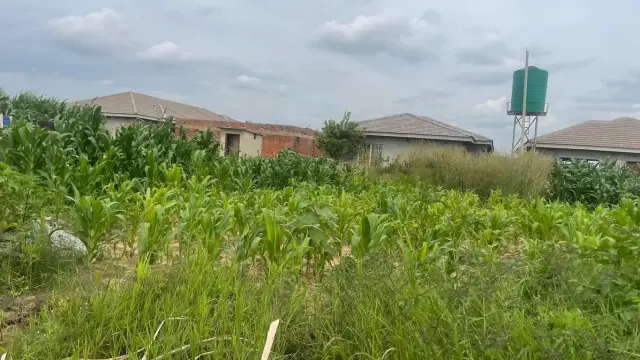 Residential Stand for Sale