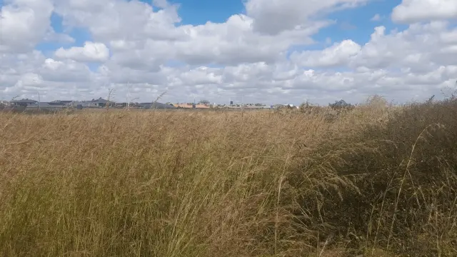 Residential Stand for Sale