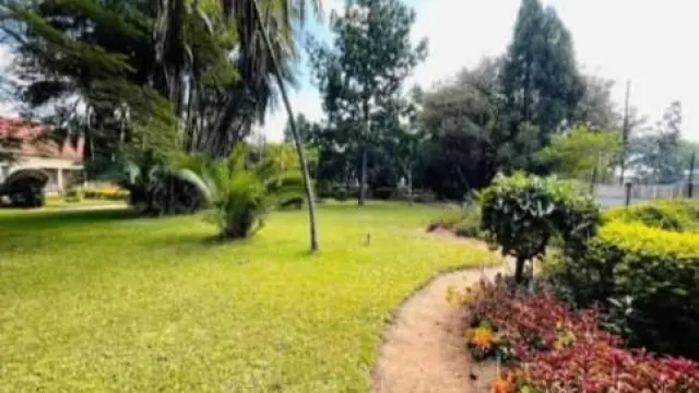 Commercial Stand for Sale