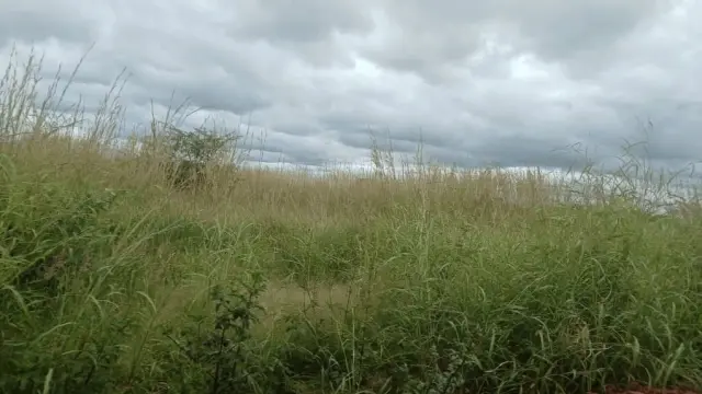 Residential Stand for Sale