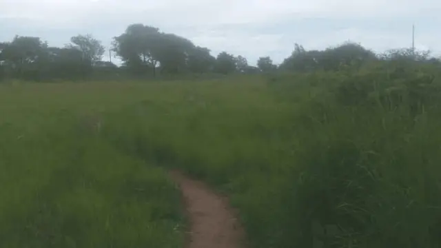 Residential Stand for Sale