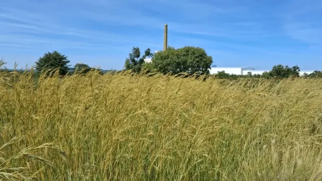 Commercial Stand for Sale