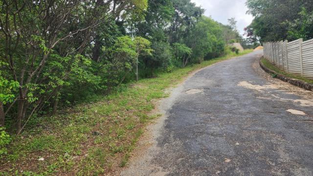 Stand for Sale in The Grange