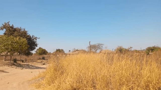 Stand for Sale in Whitecliff