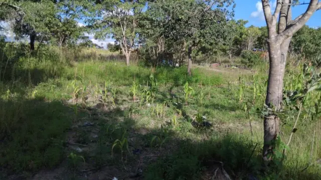 Residential Stand for Sale