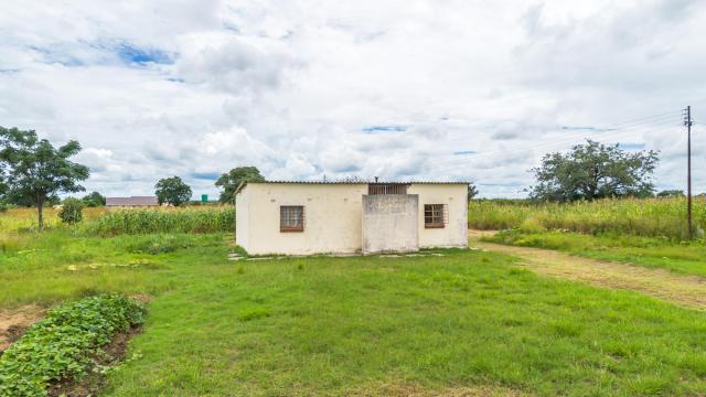 Stand for Sale in Woodville