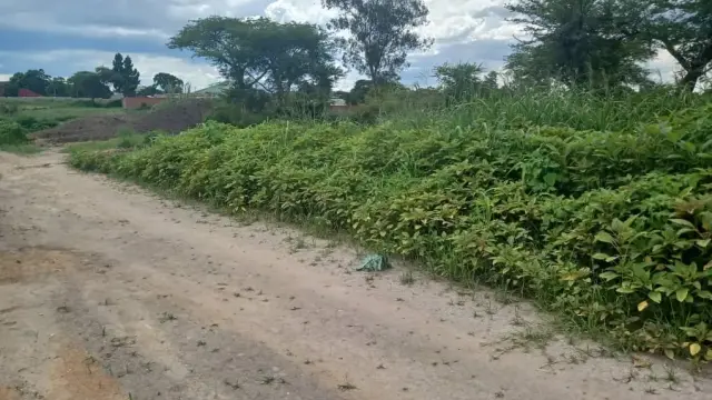 Commercial Stand for Sale