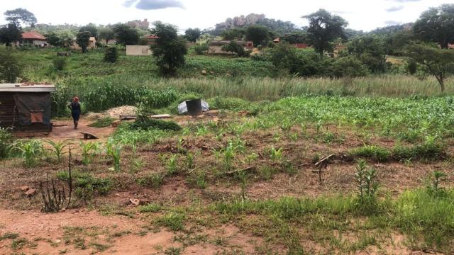 Stand for Sale in Charlotte Brooke