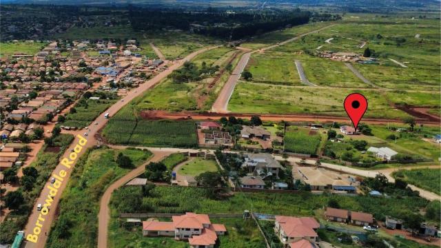 Stand for Sale in Hogerty Hill