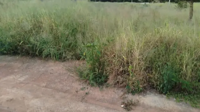 Residential Stand for Sale in Tynwald