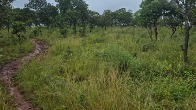 Residential Stand for Sale