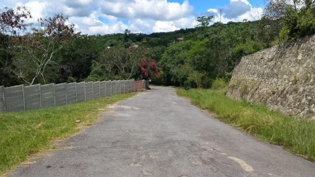 Stand for Sale in Glen Lorne