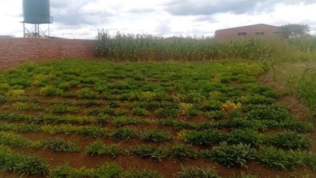 Stand for Sale in Sandton Park