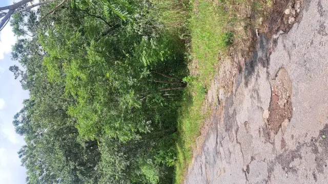 Residential Stand for Sale in Glen Lorne