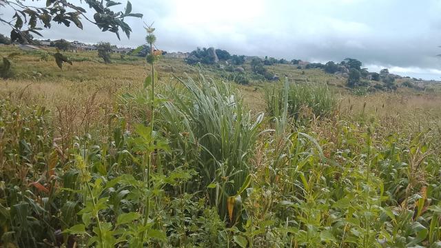 Stand for Sale in Marondera