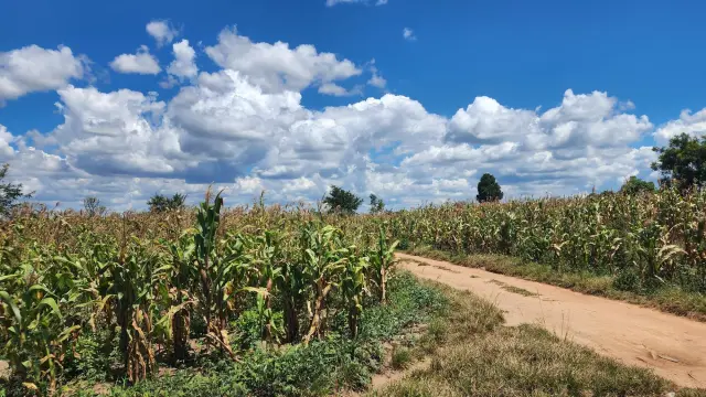 Residential Stand for Sale