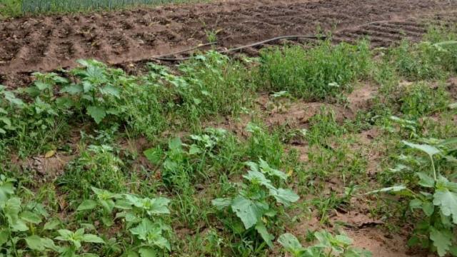 Stand for Sale in Goromonzi