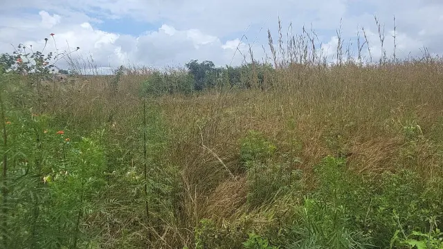 Industrial Stand for Sale