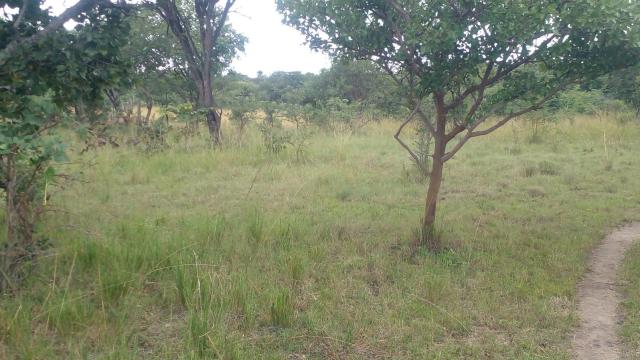 Stand for Sale in Chegutu