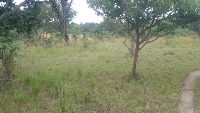 Farm/Plot for Sale in Chegutu