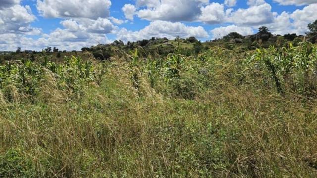 Stand for Sale in Landyview Park